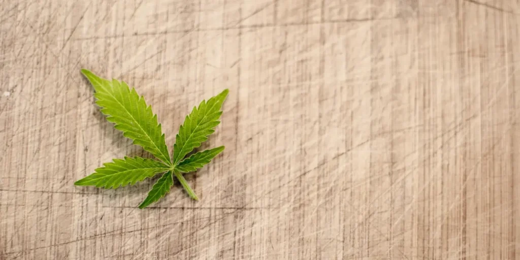 Cannabisblad på träbord, symbol för reglerad odling i Thailand.